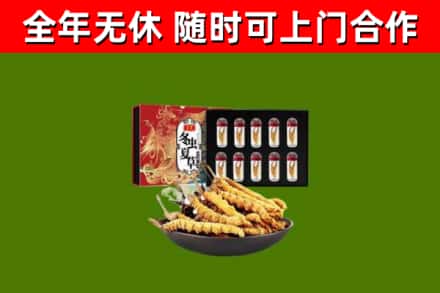 永福县回收冬虫夏草价格